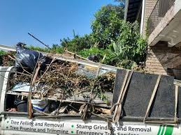 Best Same-Day Junk Removal Services  in Napervle, IL